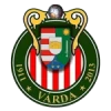 Kisvarda fc